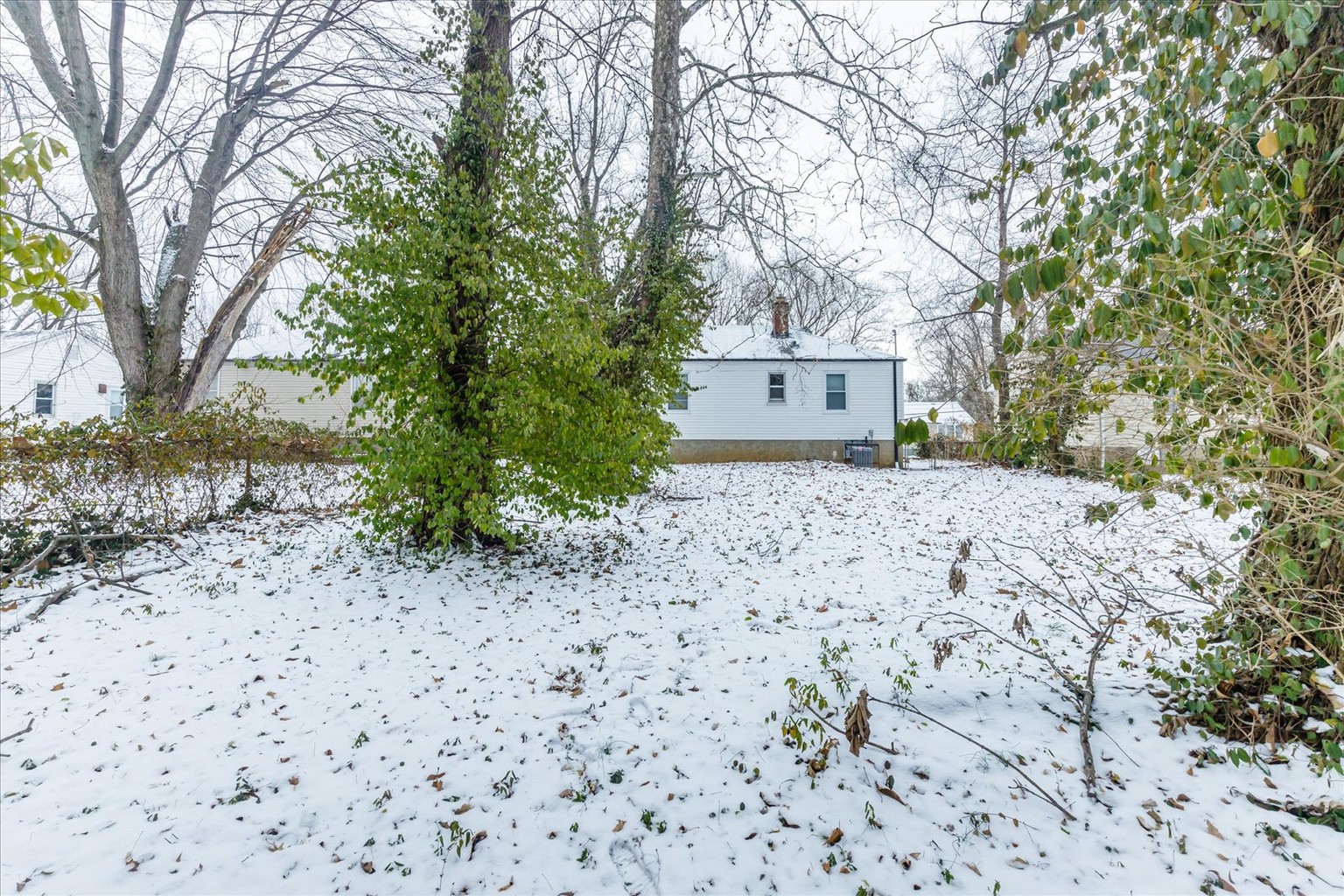 10157 Winkler Dr, St. Louis, Missouri 63136 Property Details Lofty