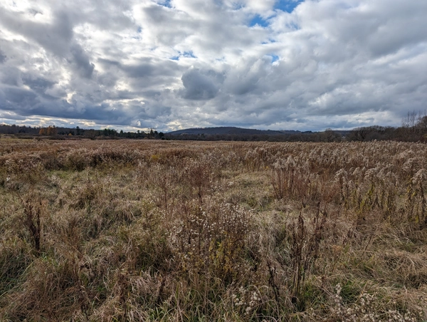 6117 Hyde Flats Road 21, Black Creek, NY 14714