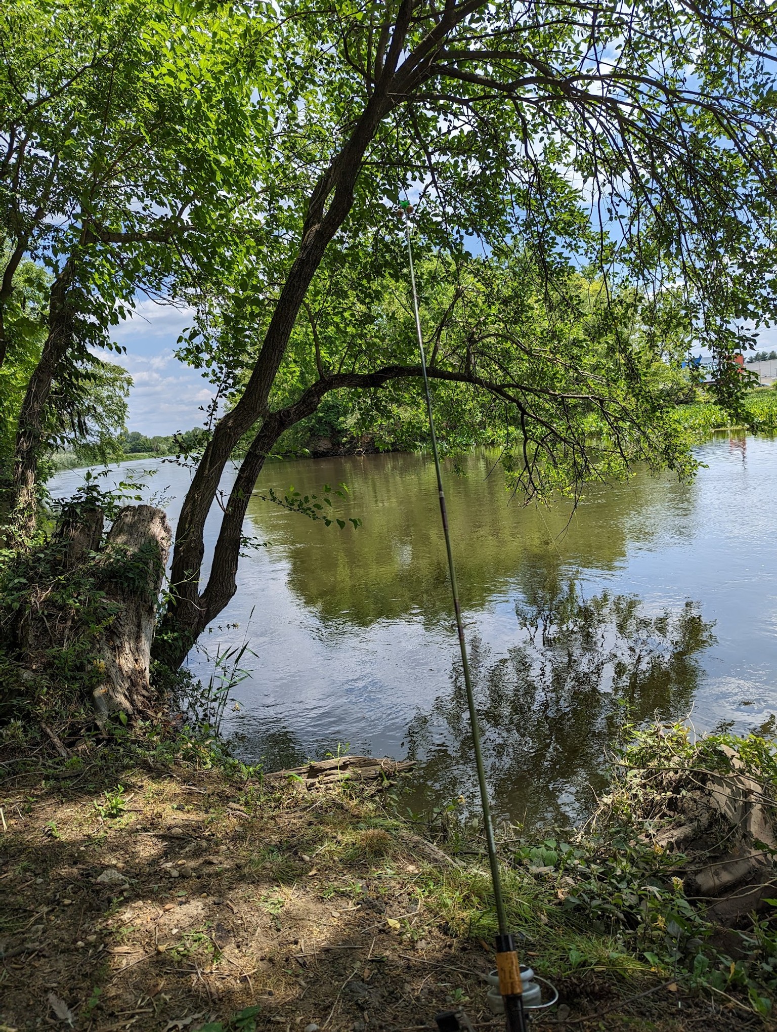 Property view 3