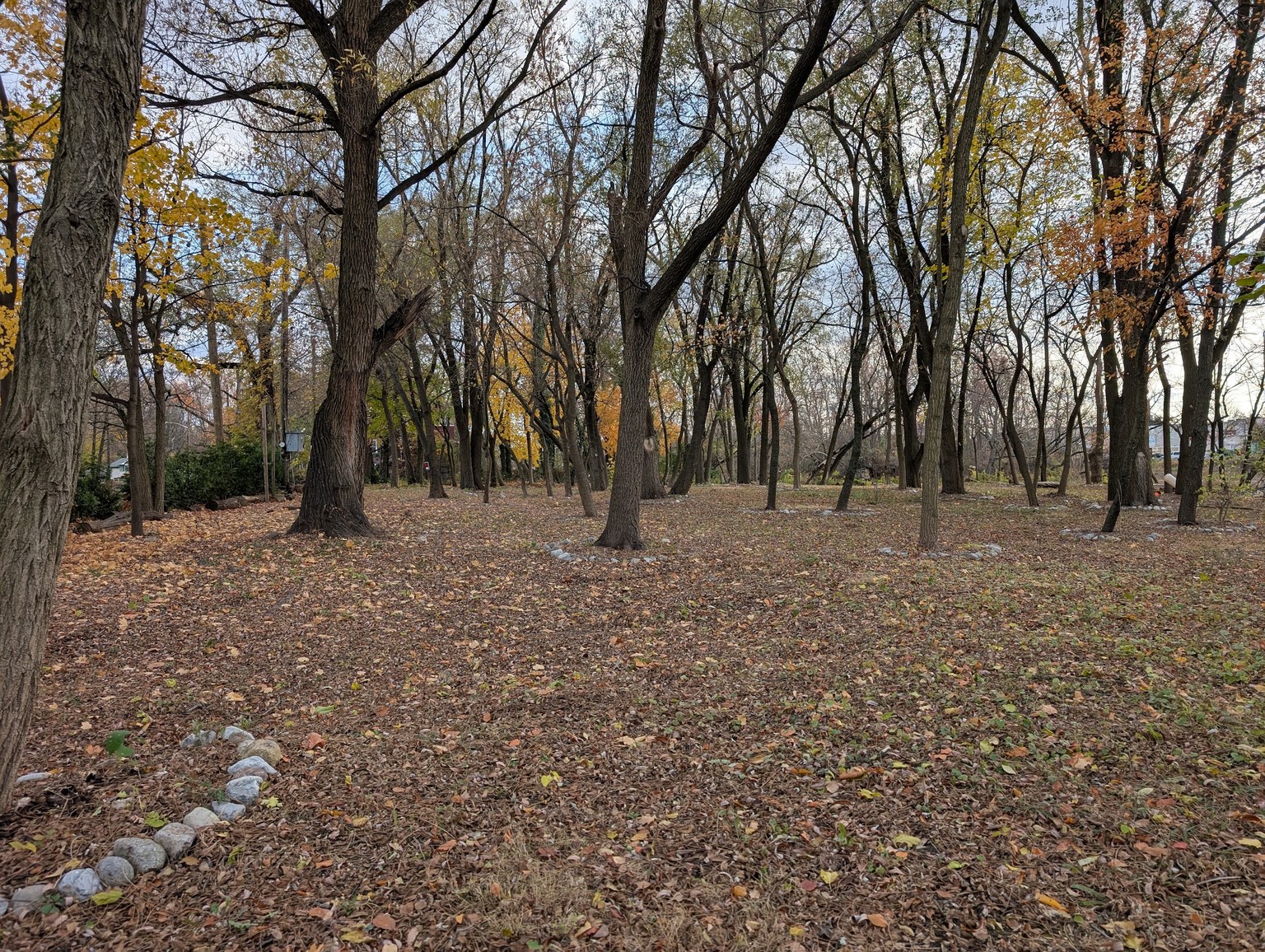 Property view 1
